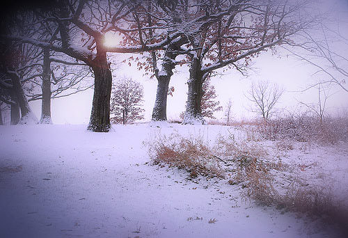 ... bntpal_1453827513_32