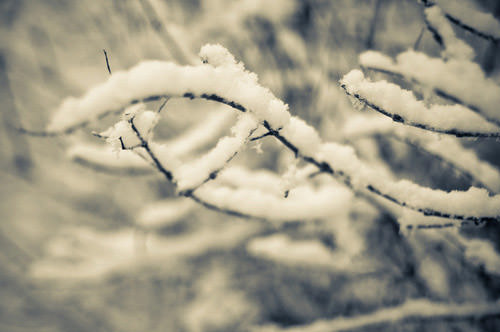 ... bntpal_1453827514_99