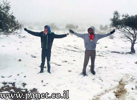 bntpal_1453840681_78