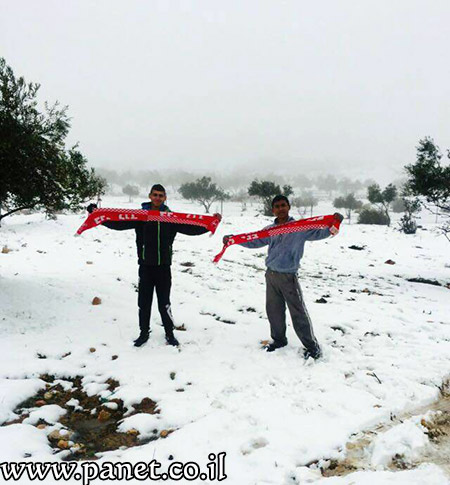 bntpal_1453840682_43