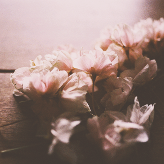  2016 bntpal_1453944377_80