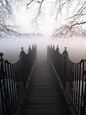 bntpal_1454068429_50