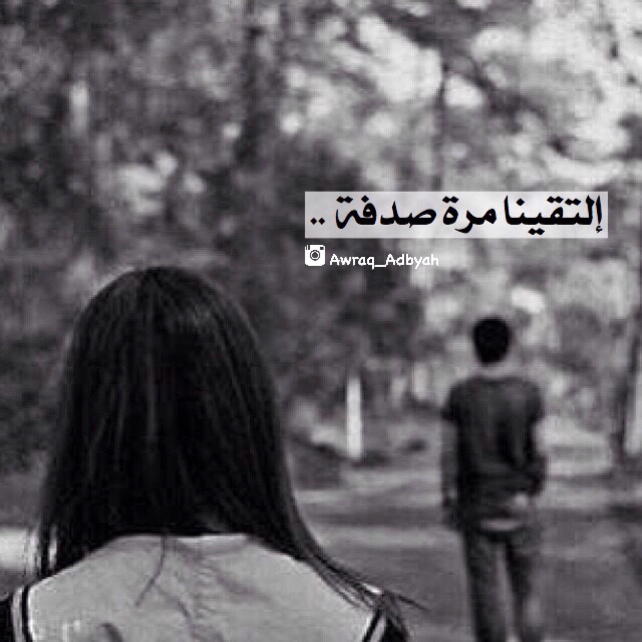  bntpal_1454247723_47