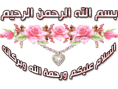 bntpal_1454350250_89