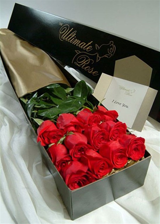 bntpal_1454512673_29