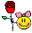 bntpal_1454607346_71