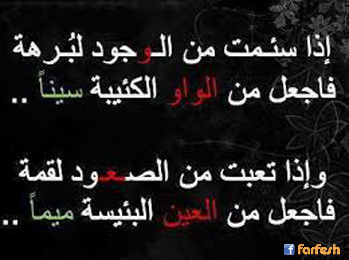 bntpal_1454675421_48