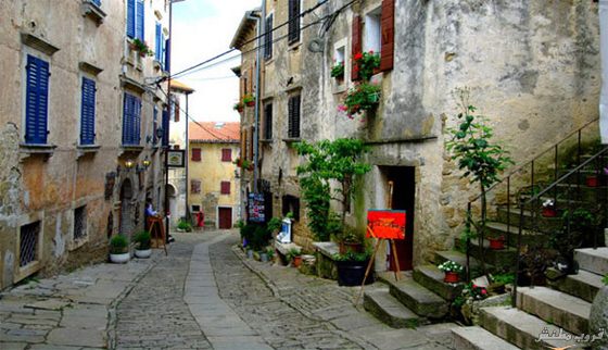 bntpal_1454837622_69