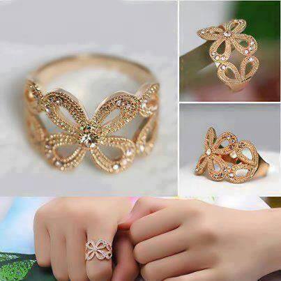 ....... bntpal_1455203283_55