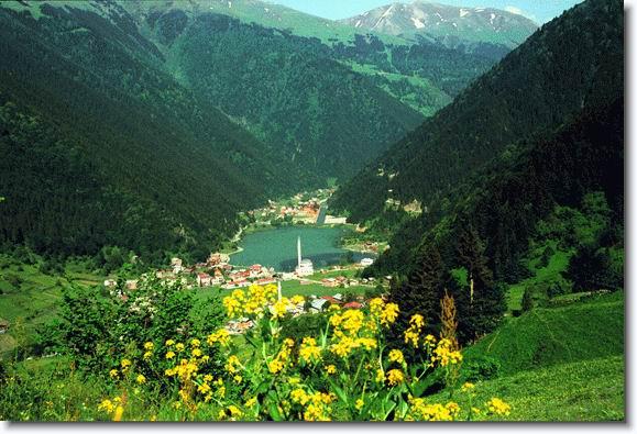  bntpal_1455278320_78