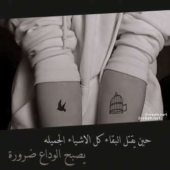 bntpal_1455437331_49