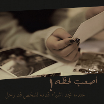 bntpal_1455437334_97