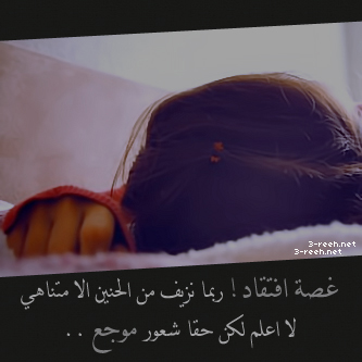 bntpal_1455437338_72