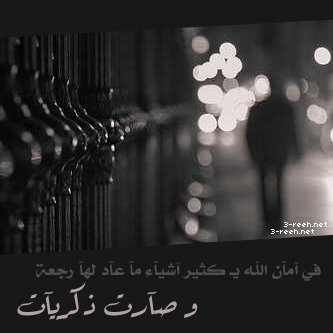 bntpal_1455437344_39
