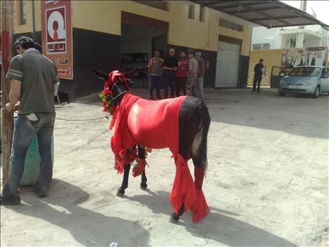  bntpal_1455444375_98