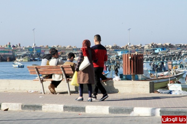 bntpal_1455465662_74