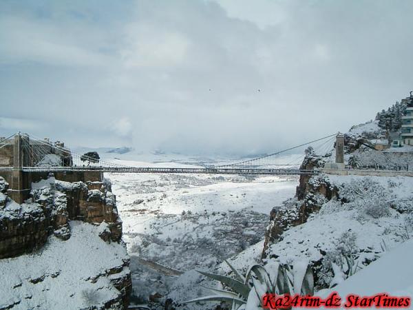   bntpal_1455662106_41