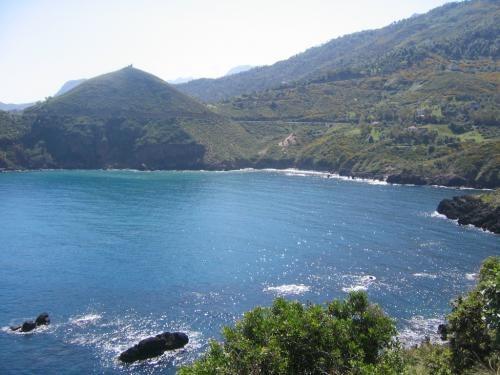   bntpal_1455662108_54