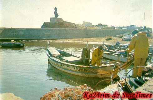   bntpal_1455662108_57