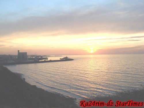   bntpal_1455662109_25
