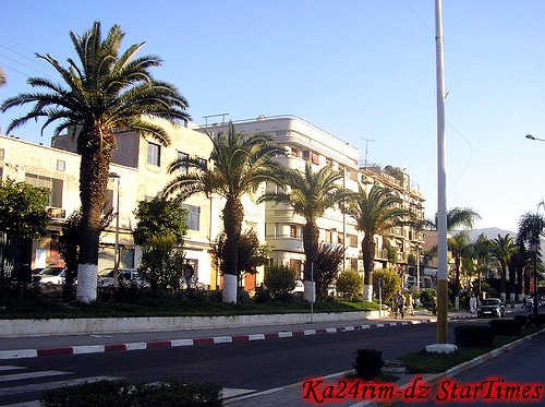   bntpal_1455662109_55