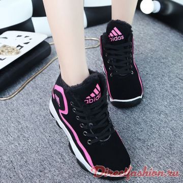 bntpal_1455828312_46