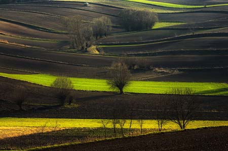 bntpal_1455870618_43