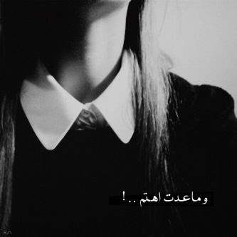 bntpal_1455884845_62