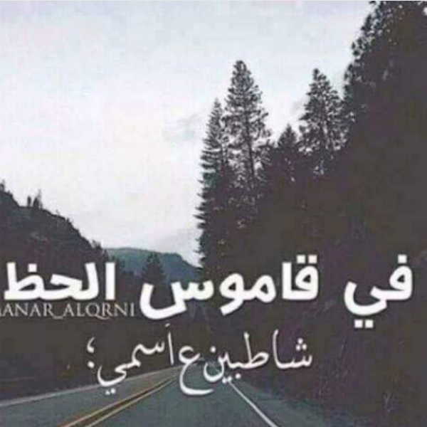 bntpal_1455886455_41