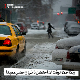 bntpal_1455886456_29