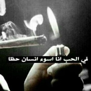 bntpal_1455909739_33