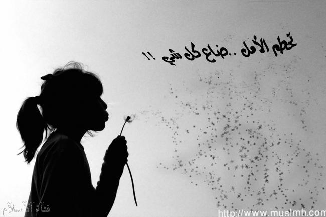 bntpal_1455983471_10