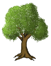 bntpal_1456011928_23