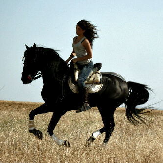  ♥ bntpal_1456155790_80