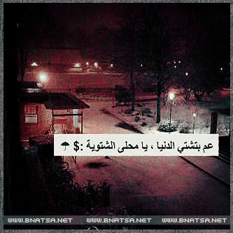bntpal_1456212979_18