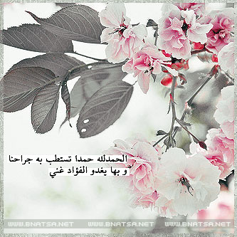 bntpal_1456212981_70