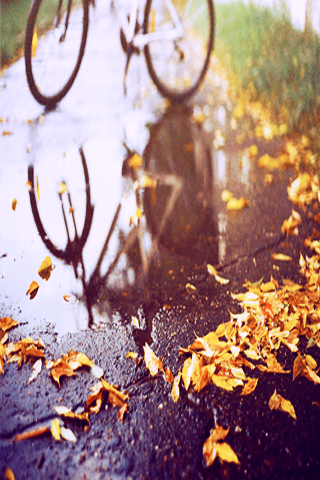 bntpal_1456212983_25