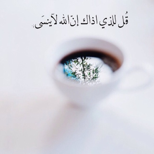 bntpal_1456242202_52
