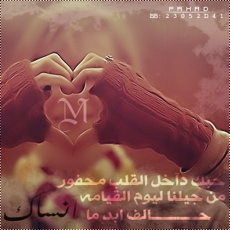 bntpal_1456323605_81