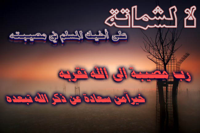 .. bntpal_1456389497_81
