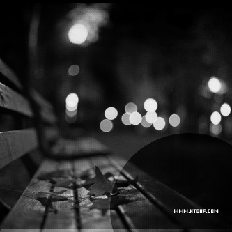bntpal_1456419479_76