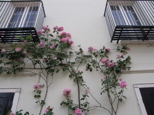     bntpal_1456555790_55