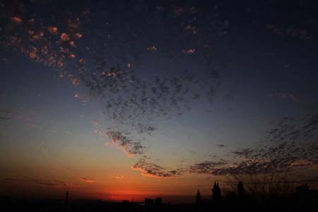 ٘ ٓ ٗɡ ٓٗ bntpal_1456729711_28