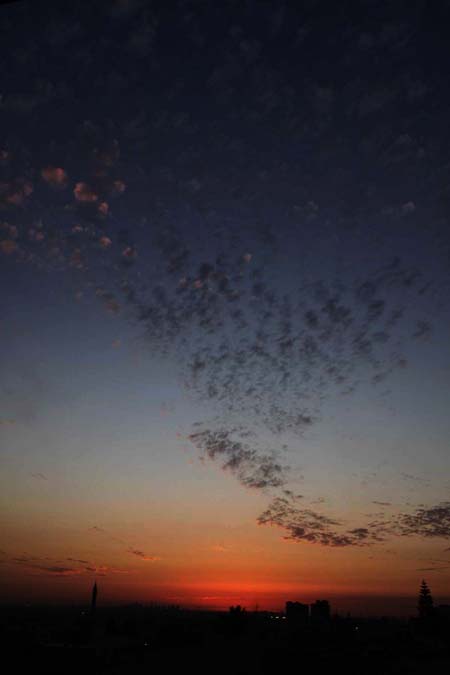 ٘ ٓ ٗɡ ٓٗ bntpal_1456729715_95