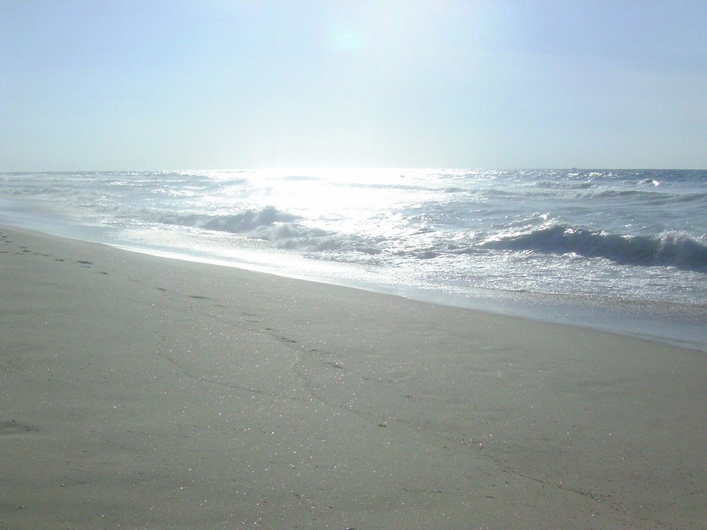 bntpal_1456751792_58