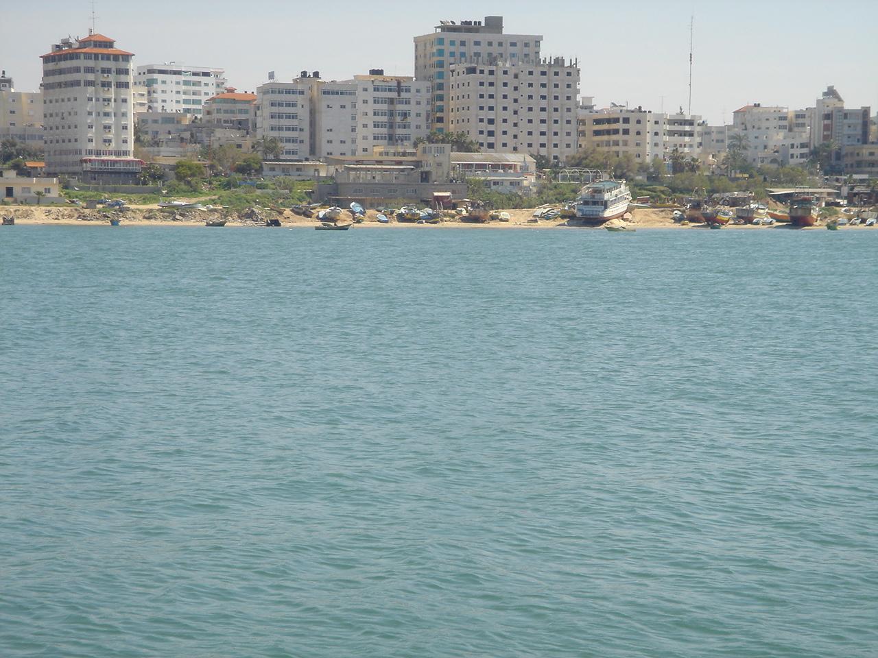 bntpal_1456751793_48