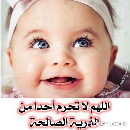 bntpal_1456752240_66