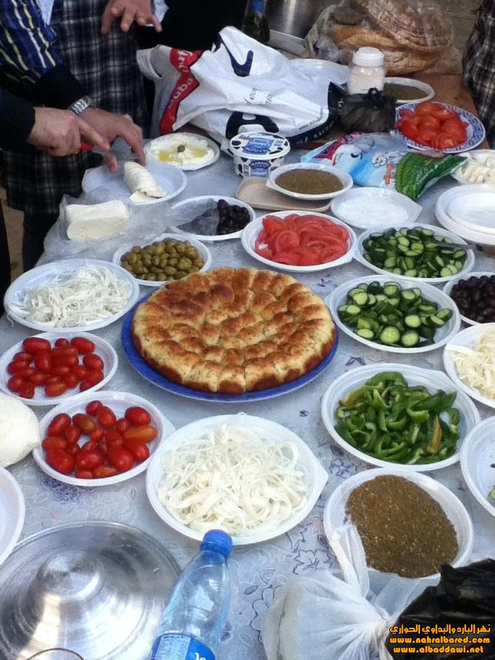 bntpal_1456809884_67
