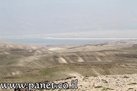 ٗ ٗ ٘٘ ٗ٘ٗ ۤ bntpal_1456813696_33