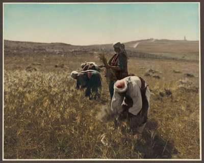 1919 bntpal_1456819153_38